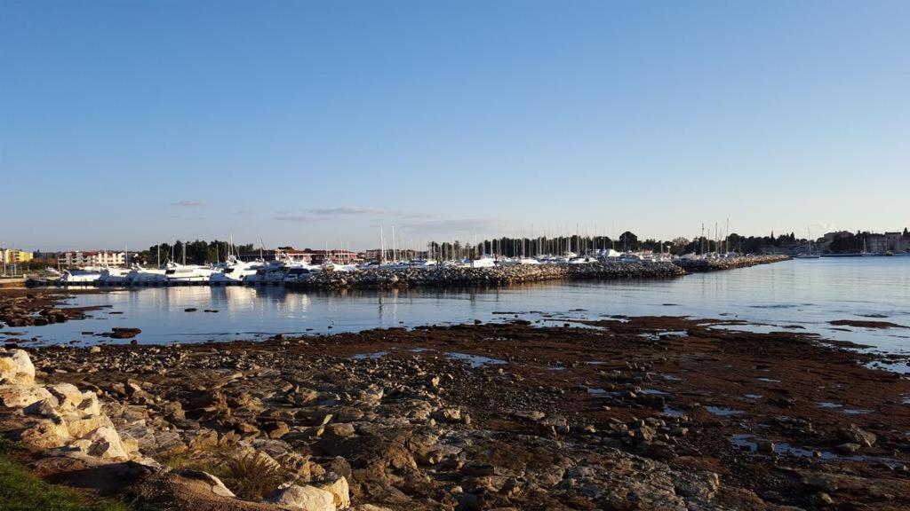 فندق Novigrad Istriaفي  Lux المظهر الخارجي الصورة